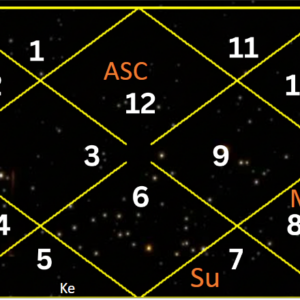 vedic astrology - horoscope from panchang