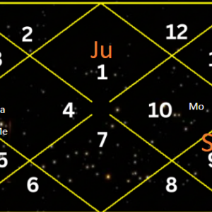 Natal,chart,astrology,prediction